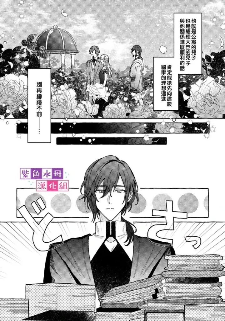 漫画《转生公主比起爱更想要领地所以期望政治联姻！》第02话第28张图
