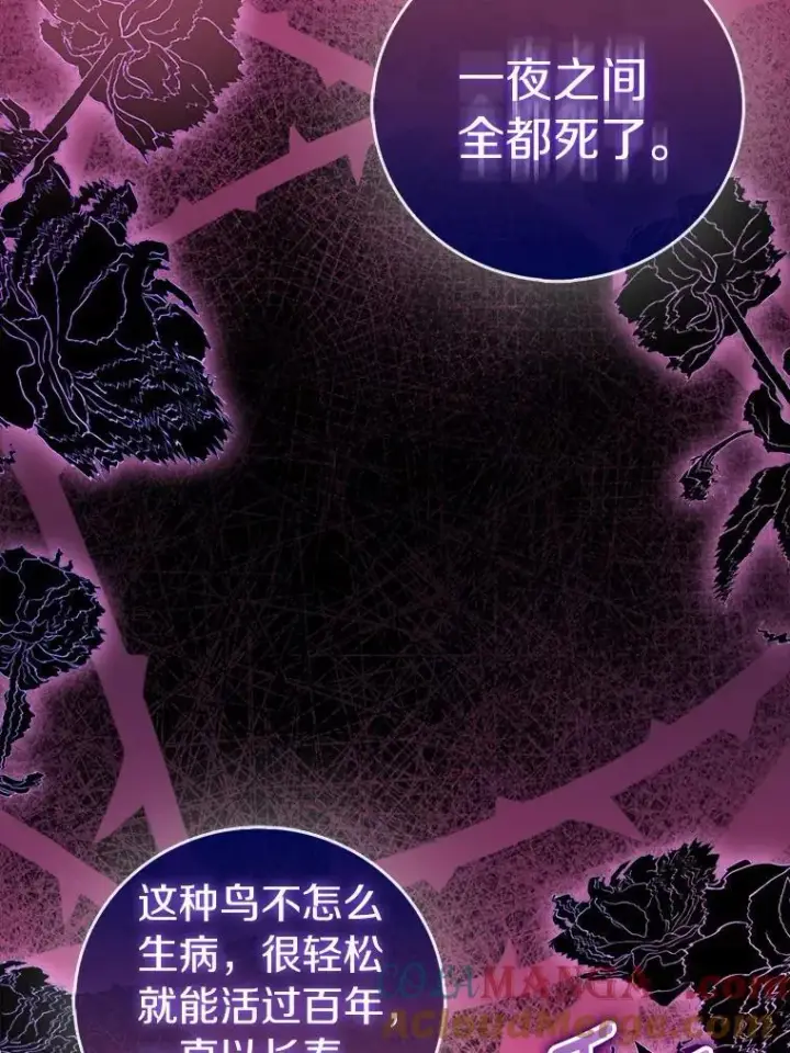 漫画《作为假圣女，却被众人迷恋？》69.不祥之兆第21张图