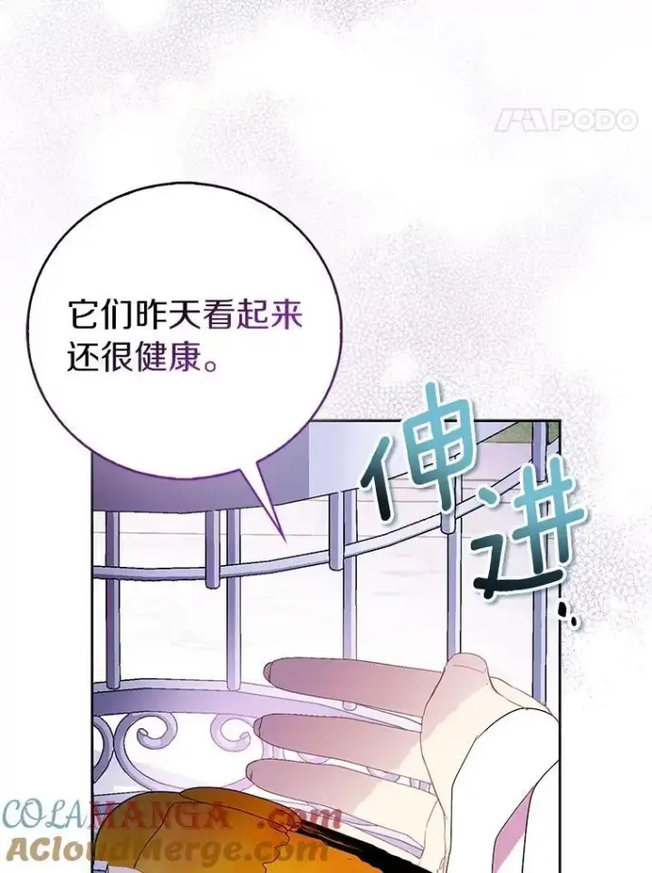 漫画《作为假圣女，却被众人迷恋？》69.不祥之兆第33张图