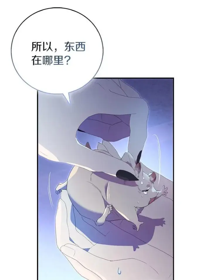 漫画《作为假圣女，却被众人迷恋？》79.确认圣力第36张图
