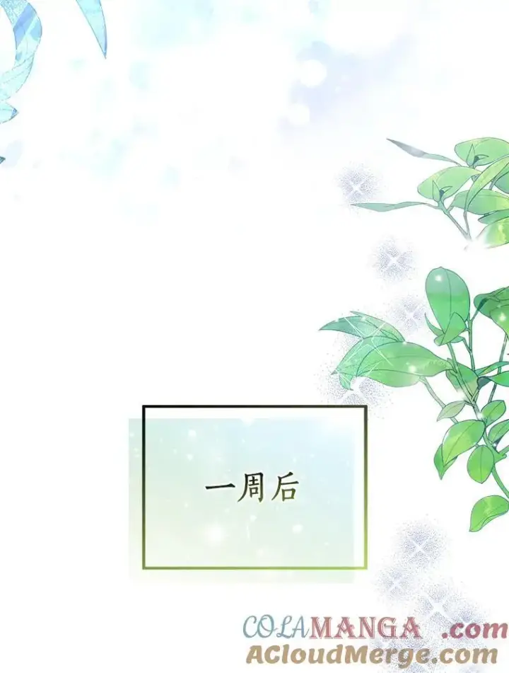 漫画《作为假圣女，却被众人迷恋？》79.确认圣力第73张图