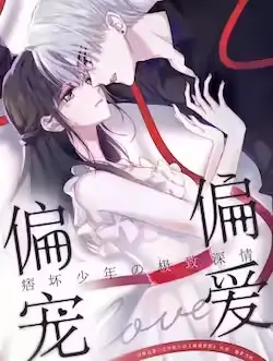 《偏偏宠爱》封面