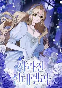 《消失的灰姑娘》封面